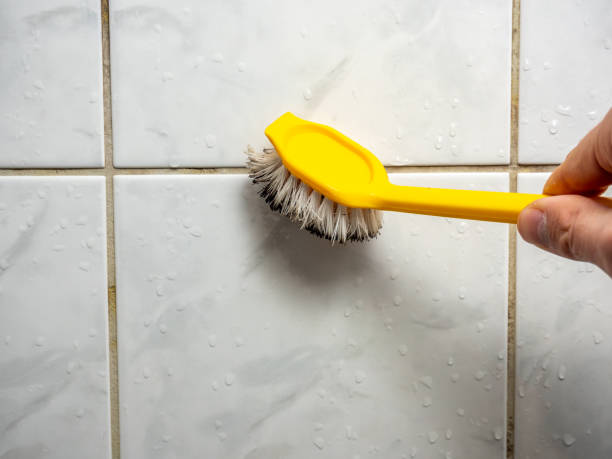 Best Water Damage Restoration  in Port Orange, FL