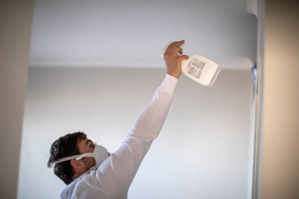 Best Mold Damage Repair  in Port Orange, FL